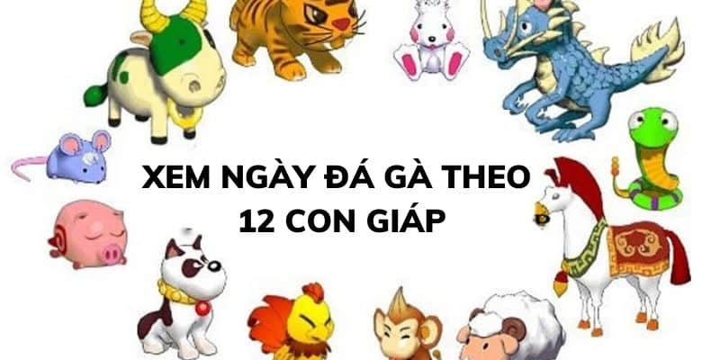 coi ngày đá gà 12 con giáp