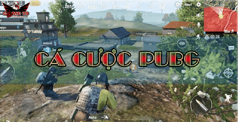 cá cược pubg