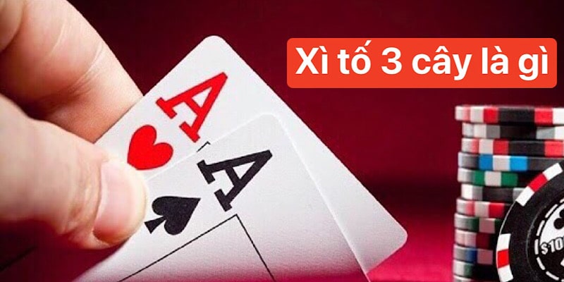 Xì tố 3 cây là gì